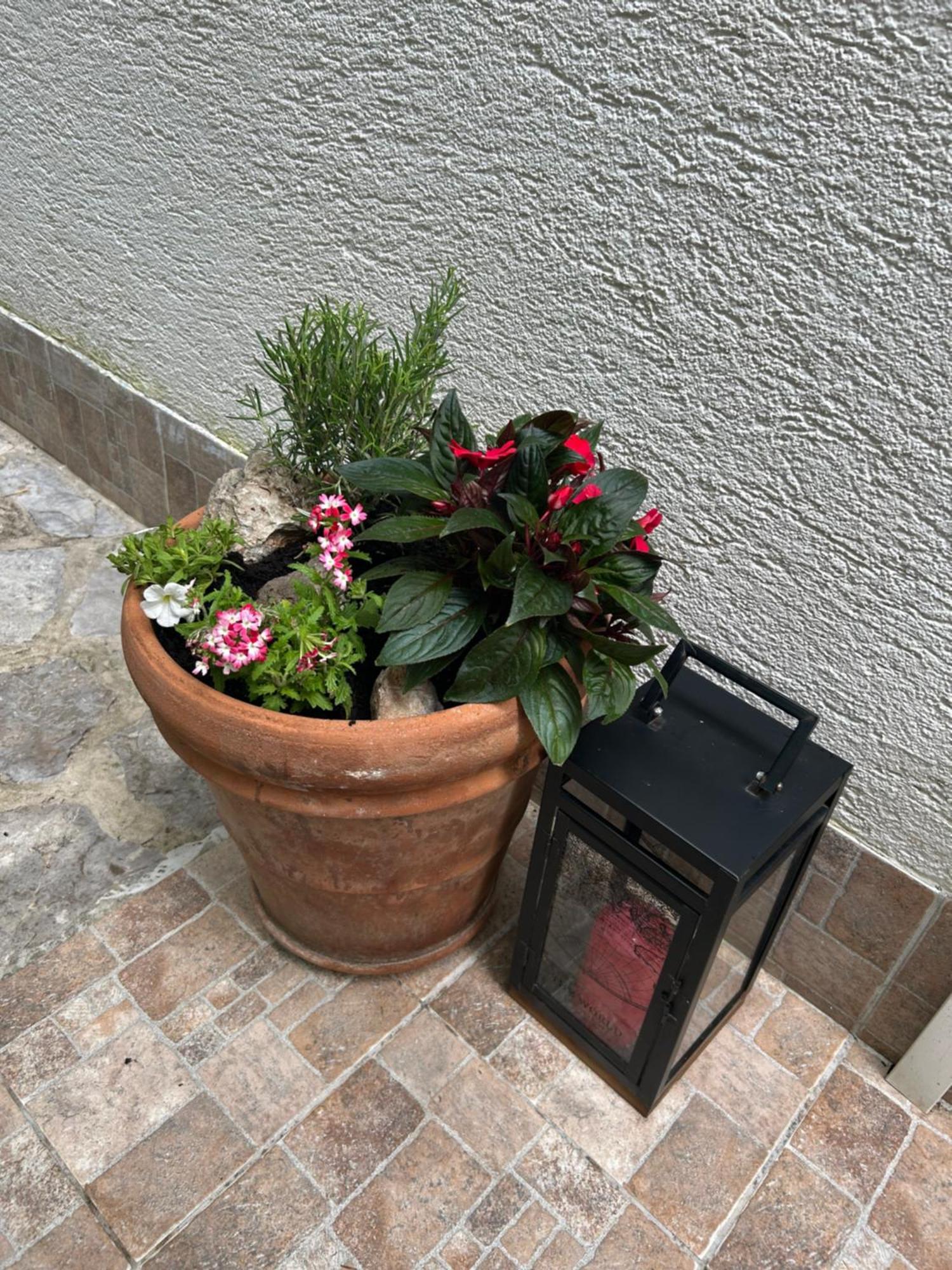 Apartment Bozena Krk Krk Town Exterior photo